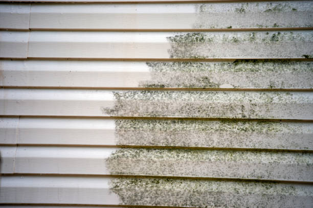 Best Yard Waste Removal  in Banner Hill, TN
